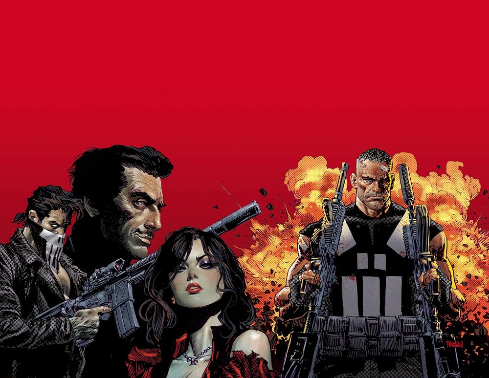 Marvel Knights: Punisher cover image