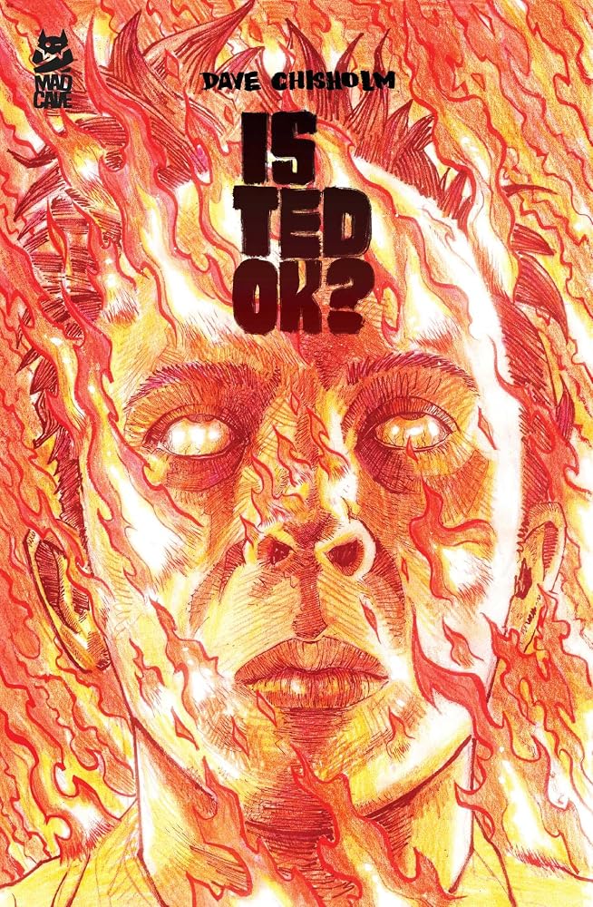 Is Ted OK? cover image