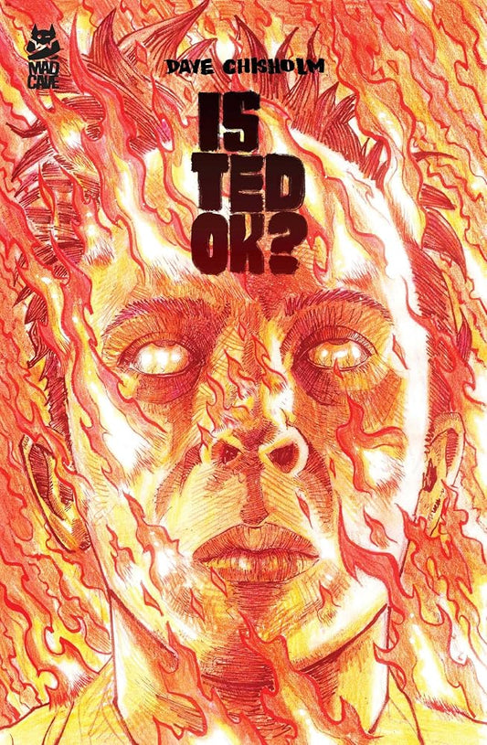 Is Ted OK? cover image